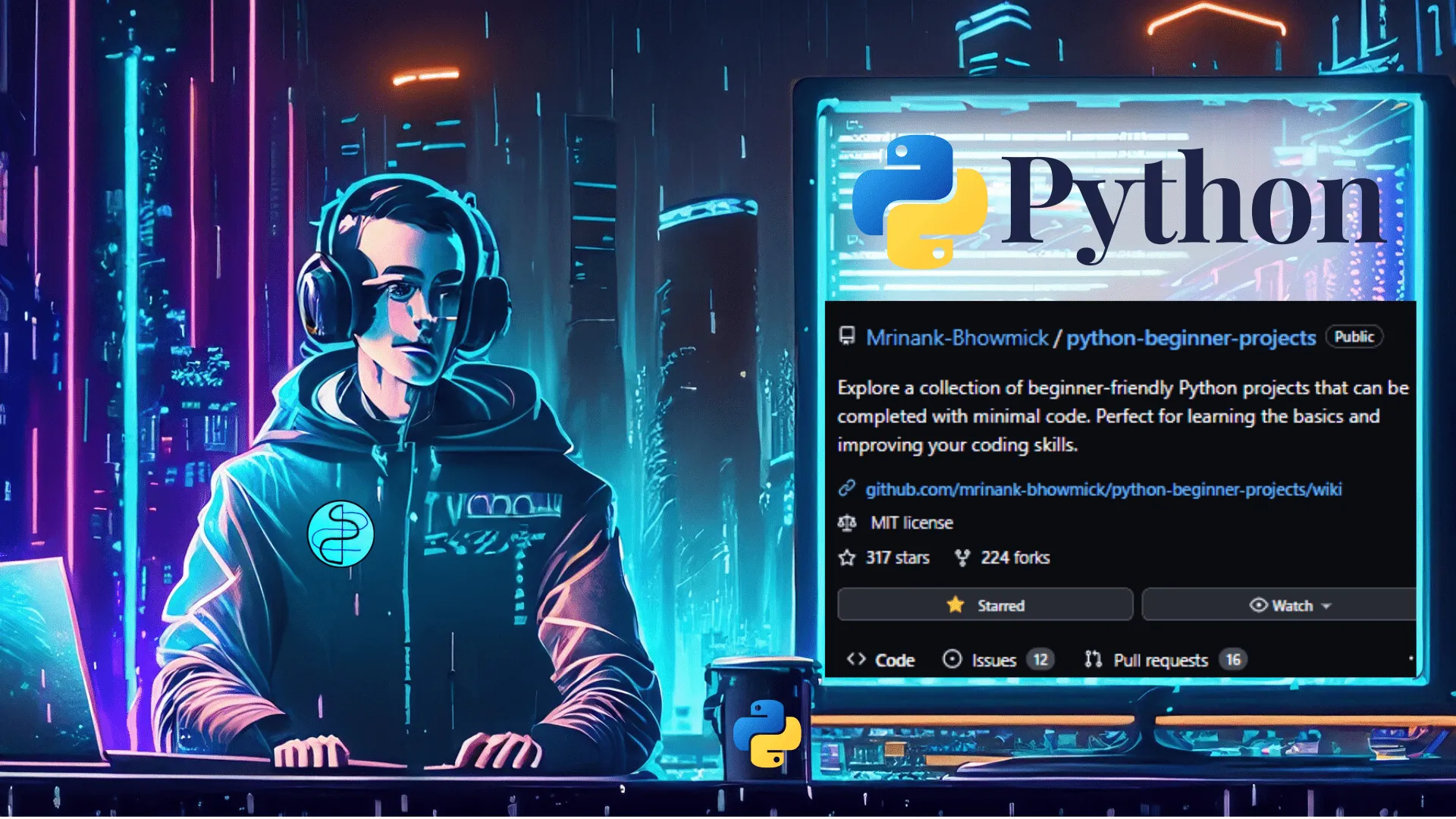 Python Beginner Projects Banner